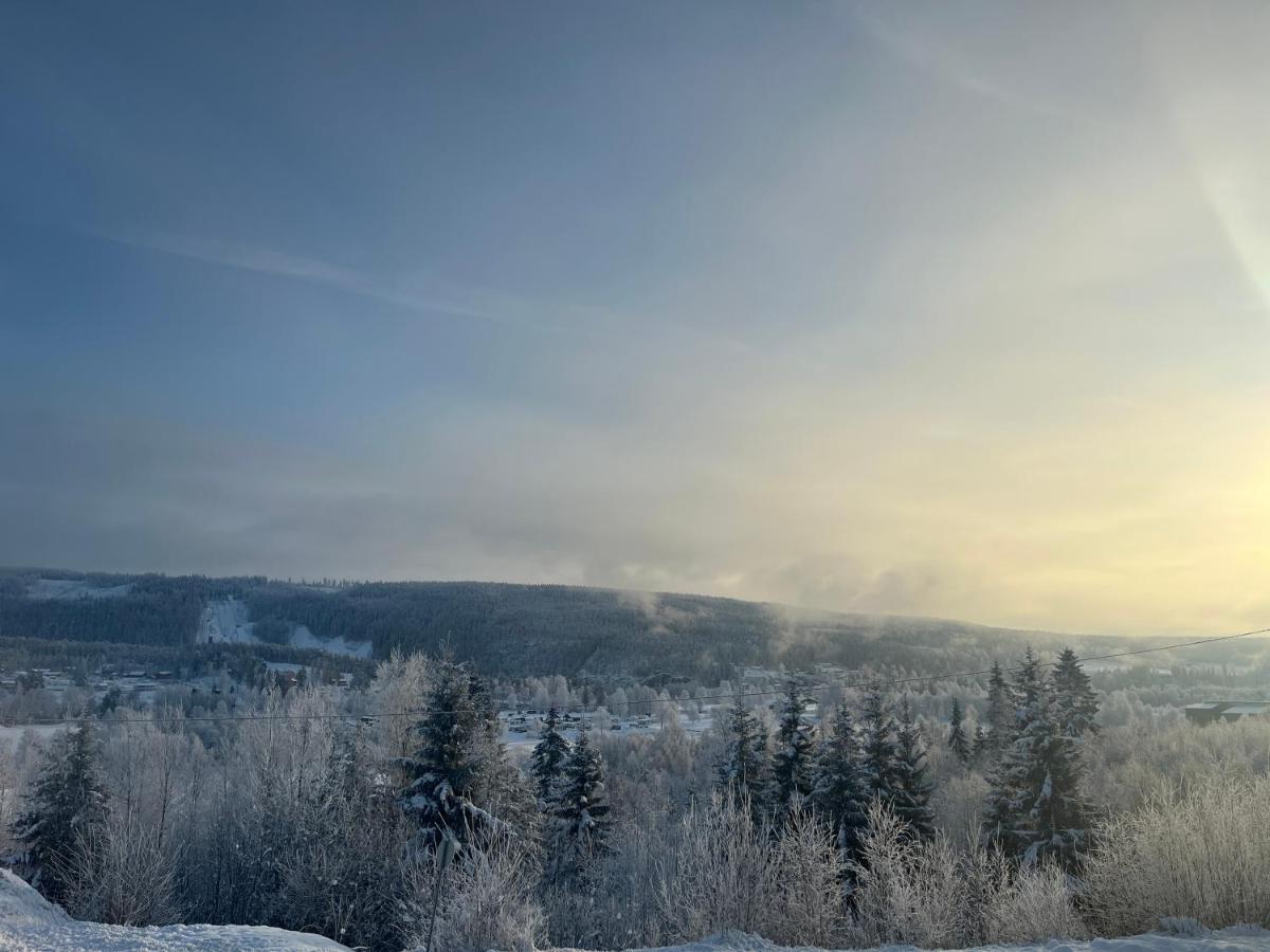 Koselig Rom I Rolige Omgivelser Amot Exterior foto